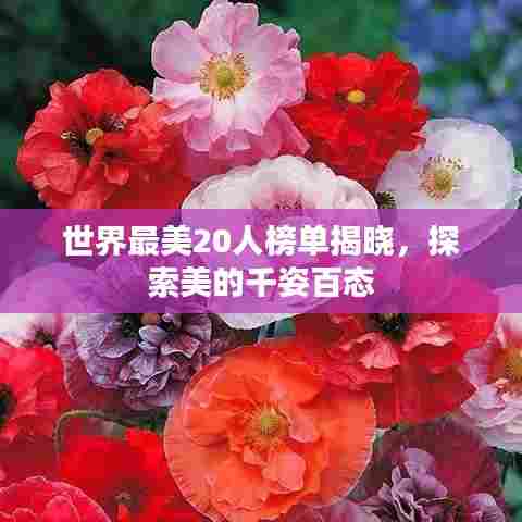 世界最美20人榜单揭晓,探索美的千姿百态