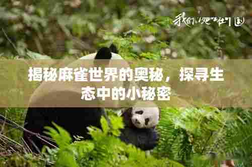 揭秘麻雀世界的奥秘,探寻生态中的小秘密