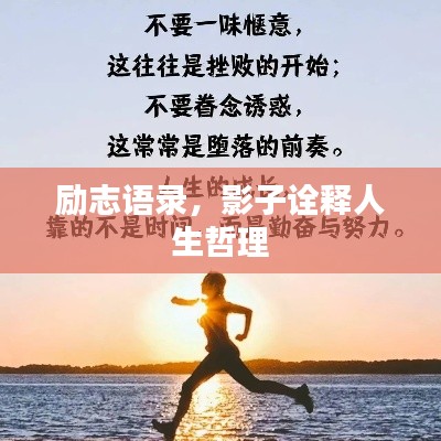 励志语录,影子诠释人生哲理