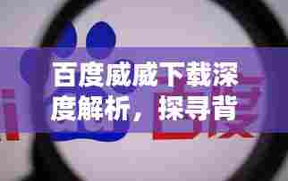 百度威威下载深度解析,探寻背后的秘密与优势