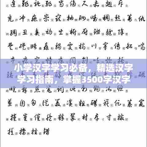 小学汉字学习必备，精选汉字学习指南，掌握3500字汉字轻松识字教学