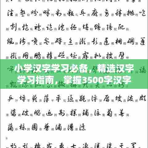 小学汉字学习必备,精选汉字学习指南,掌握3500字汉字轻松识字教学