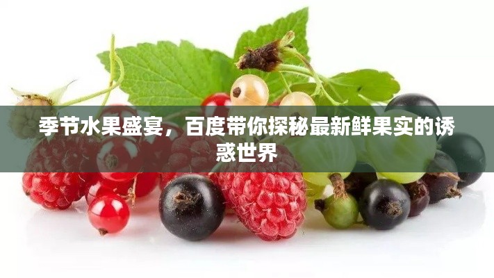 季节水果盛宴,百度带你探秘最新鲜果实的诱惑世界