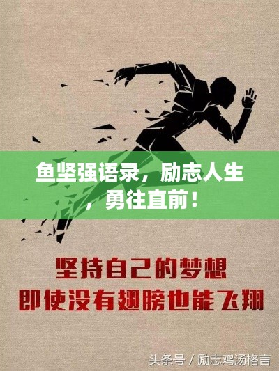 鱼坚强语录,励志人生,勇往直前!