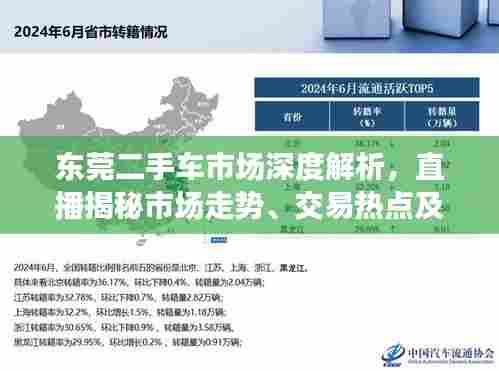 东莞二手车市场深度解析,直播揭秘市场走势、交易热点及未来展望