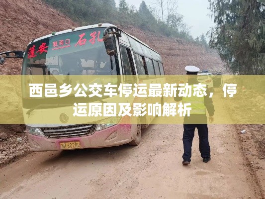 西邑乡公交车停运最新动态,停运原因及影响解析