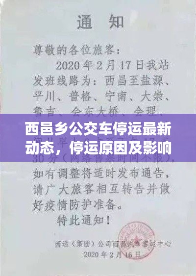 西邑乡公交车停运最新动态,停运原因及影响解析