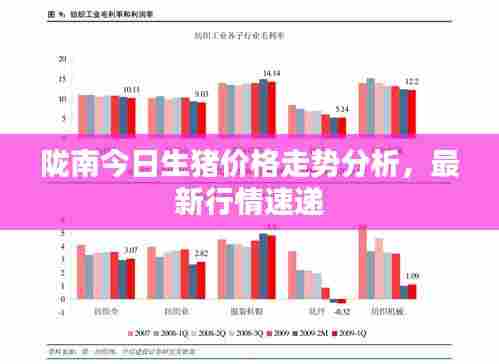 陇南今日生猪价格走势分析,最新行情速递