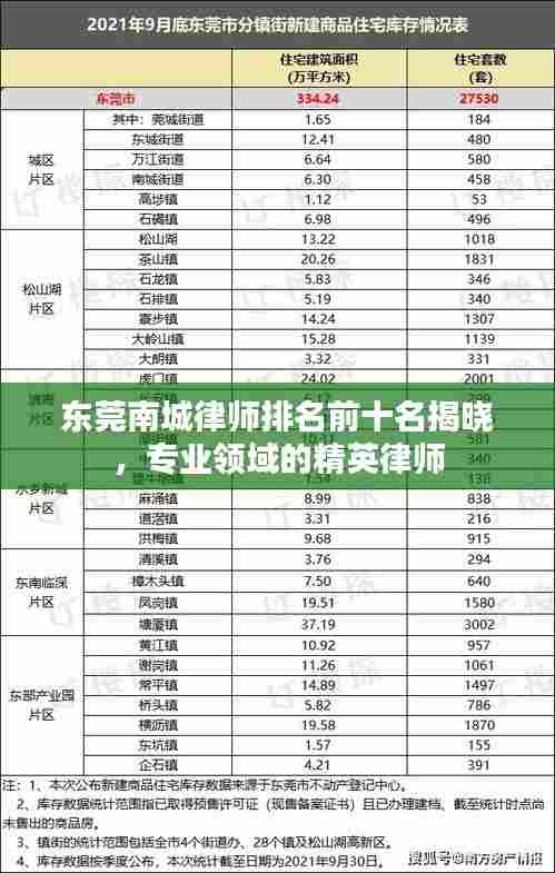 东莞南城律师排名前十名揭晓,专业领域的精英律师