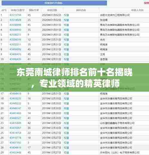 东莞南城律师排名前十名揭晓,专业领域的精英律师