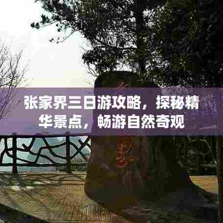 张家界三日游攻略,探秘精华景点,畅游自然奇观
