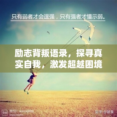 励志背叛语录,探寻真实自我,激发超越困境的力量