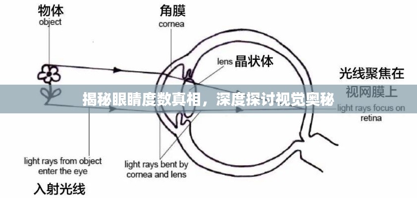 揭秘眼睛度数真相,深度探讨视觉奥秘