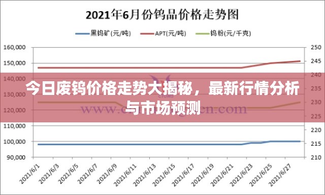 今日废钨价格走势大揭秘，最新行情分析与市场预测