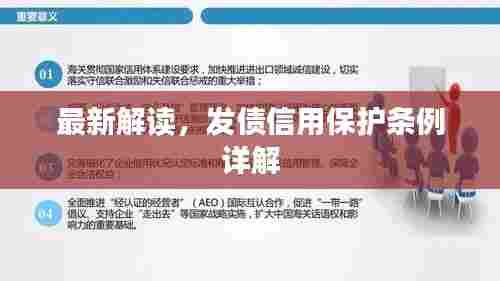 最新解读,发债信用保护条例详解