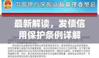 最新解读,发债信用保护条例详解