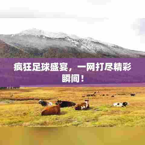 疯狂足球盛宴,一网打尽精彩瞬间!