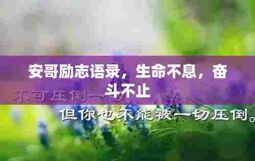 安哥励志语录,生命不息,奋斗不止