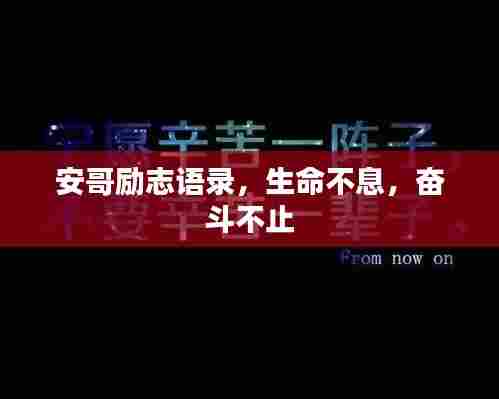 安哥励志语录,生命不息,奋斗不止