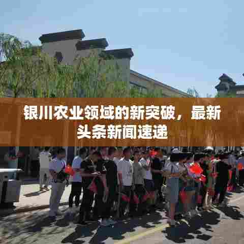 银川农业领域的新突破,最新头条新闻速递