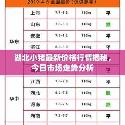 湖北小猪最新价格行情揭秘，今日市场走势分析