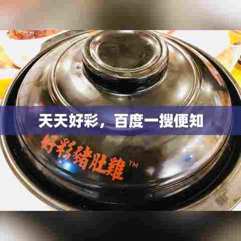 天天好彩,百度一搜便知