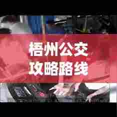 梧州公交攻略路线大解析,最新路线一网打尽!