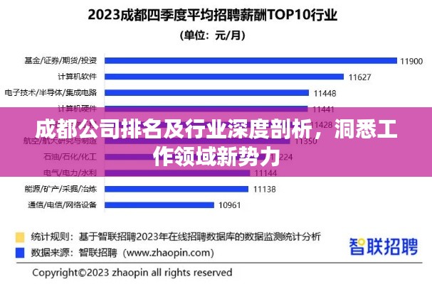成都公司排名及行业深度剖析,洞悉工作领域新势力